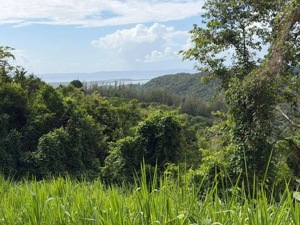 RD 978 KM 2.7 CHUPACALLOS WD Ceiba, PR 00735