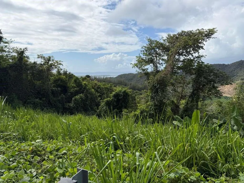 RD 978 KM 2.7 CHUPACALLOS WD Ceiba, PR 00735