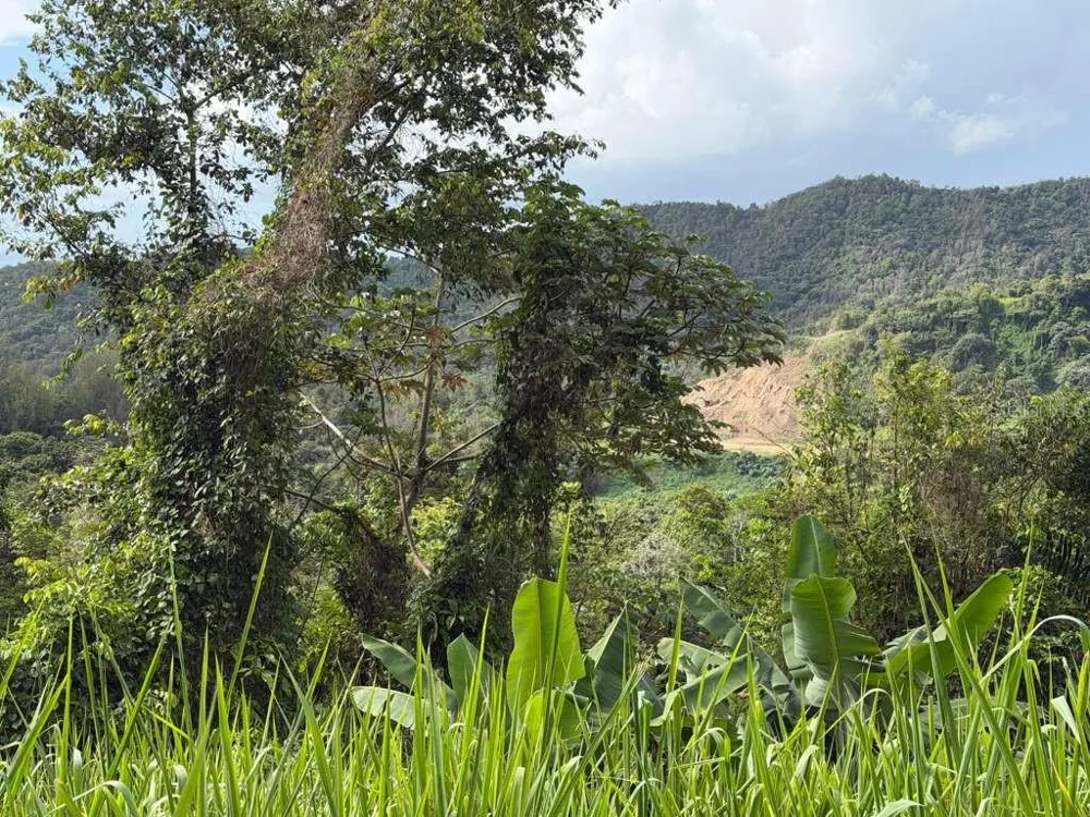 RD 978 KM 2.7 CHUPACALLOS WD Ceiba, PR 00735