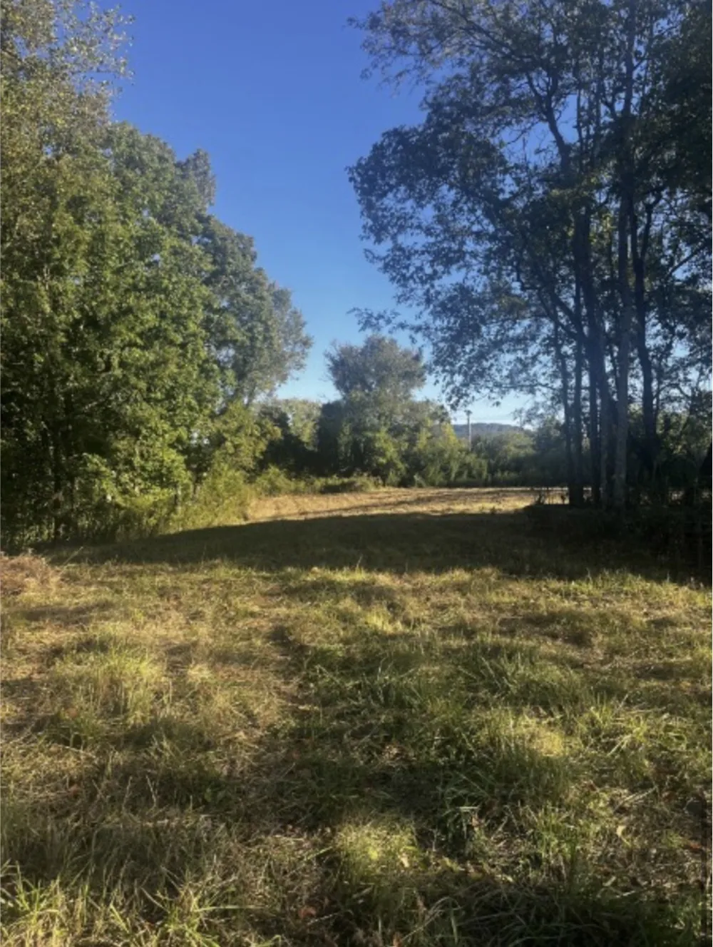 0 Old Morrison Rd Mc Minnville, TN 37110