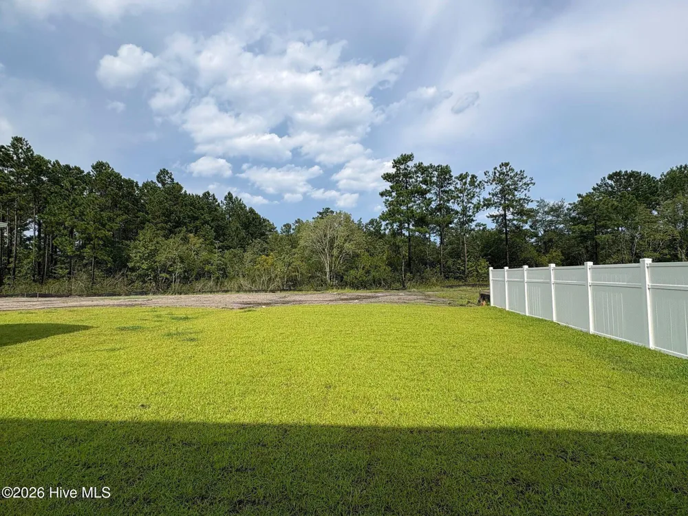 1079 Hanson Drive Leland, NC 28451