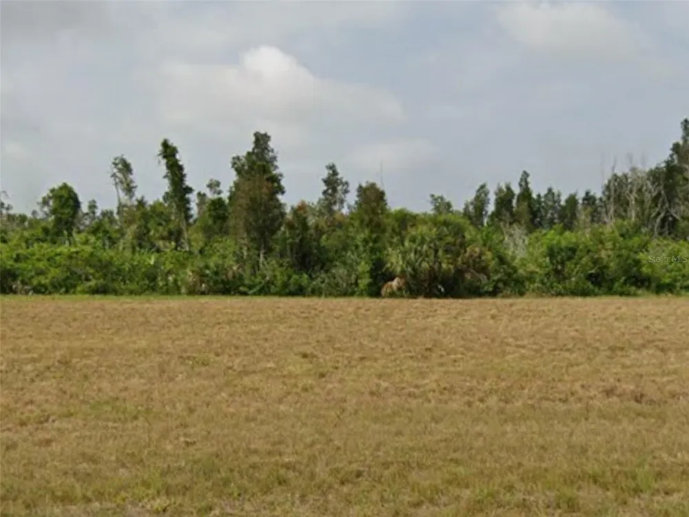 23 STARLING DRIVE Placida, FL 33946