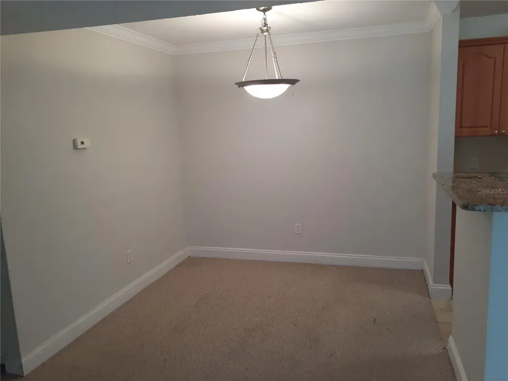 455 ALT 19 S #121 Palm Harbor, FL 34683
