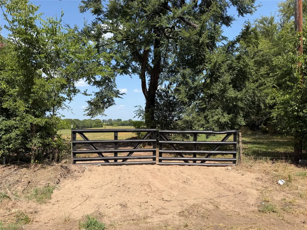 1195 RS COUNTY 1301 ROAD Emory, TX 75440