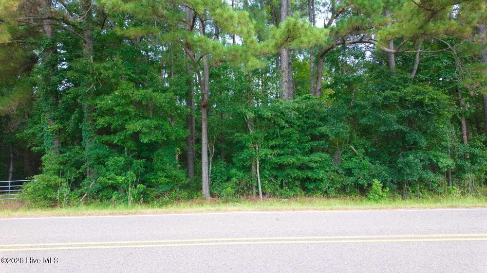0000 Near 855 Furnie Hamm Road Clarendon, NC 28432