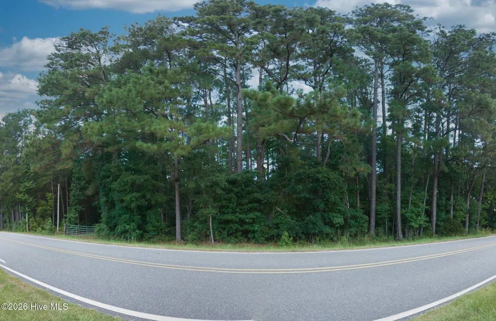 0000 Near 855 Furnie Hamm Road Clarendon, NC 28432