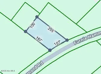 0000 Near 855 Furnie Hamm Road Clarendon, NC 28432