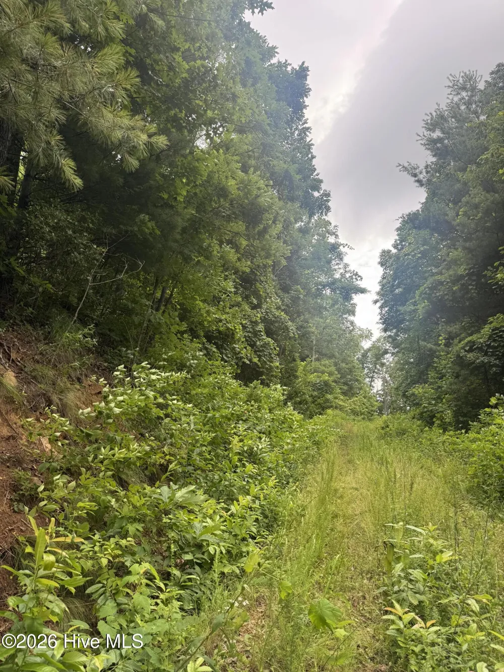 78 Lt 78 Pitch Pine Drive Sylva, NC 28779