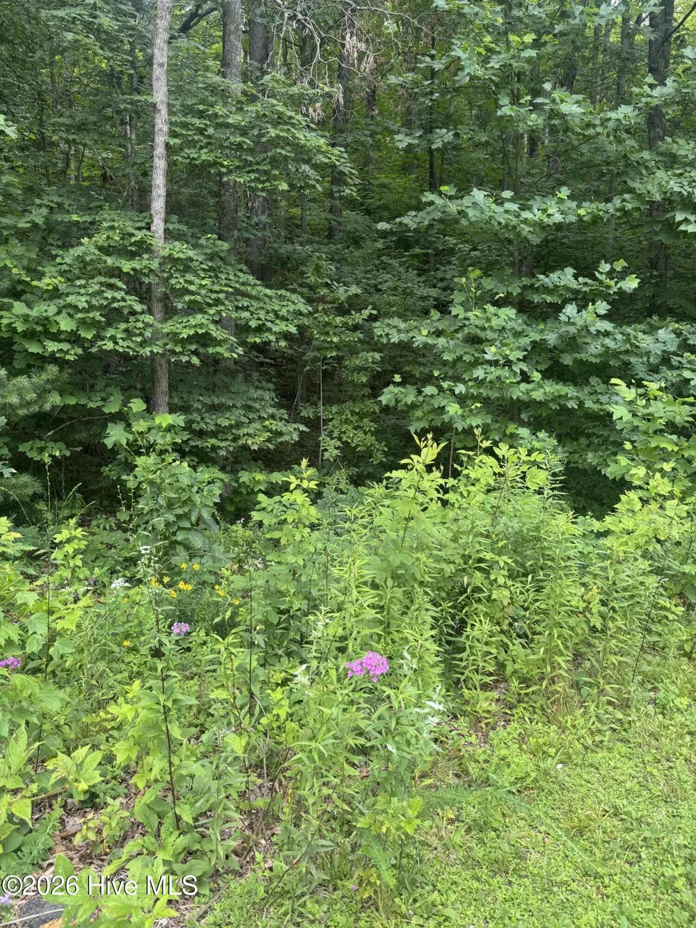 78 Lt 78 Pitch Pine Drive Sylva, NC 28779