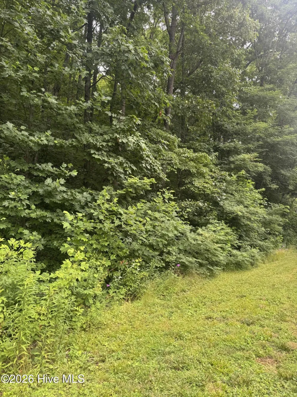 78 Lt 78 Pitch Pine Drive Sylva, NC 28779