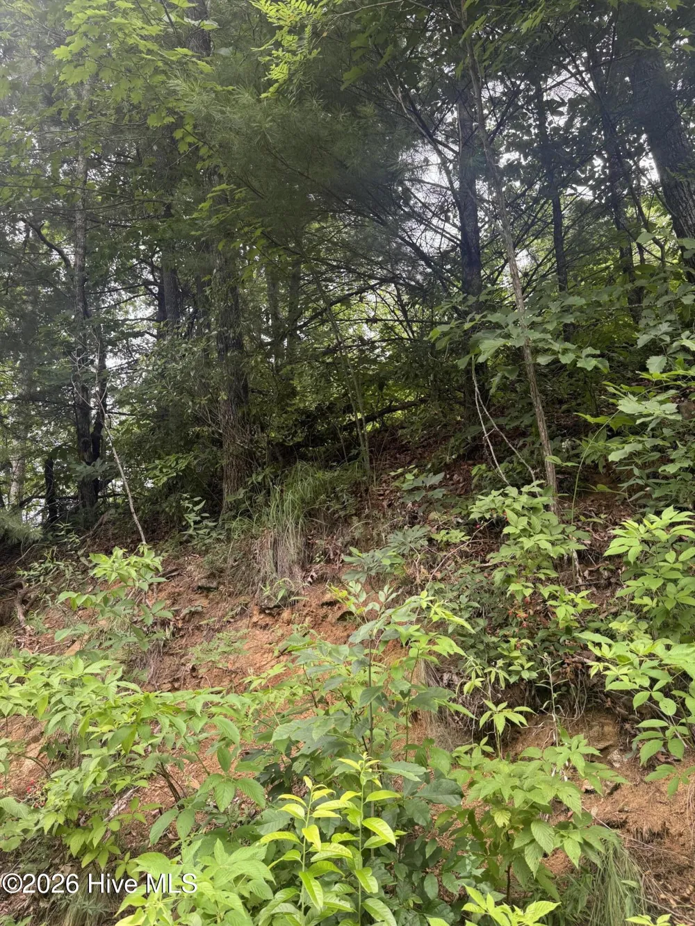 78 Lt 78 Pitch Pine Drive Sylva, NC 28779