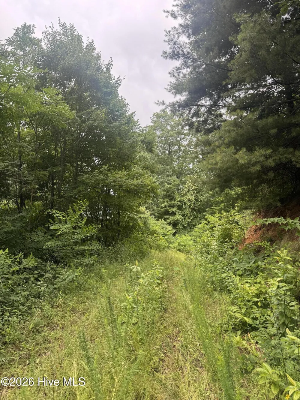 78 Lt 78 Pitch Pine Drive Sylva, NC 28779