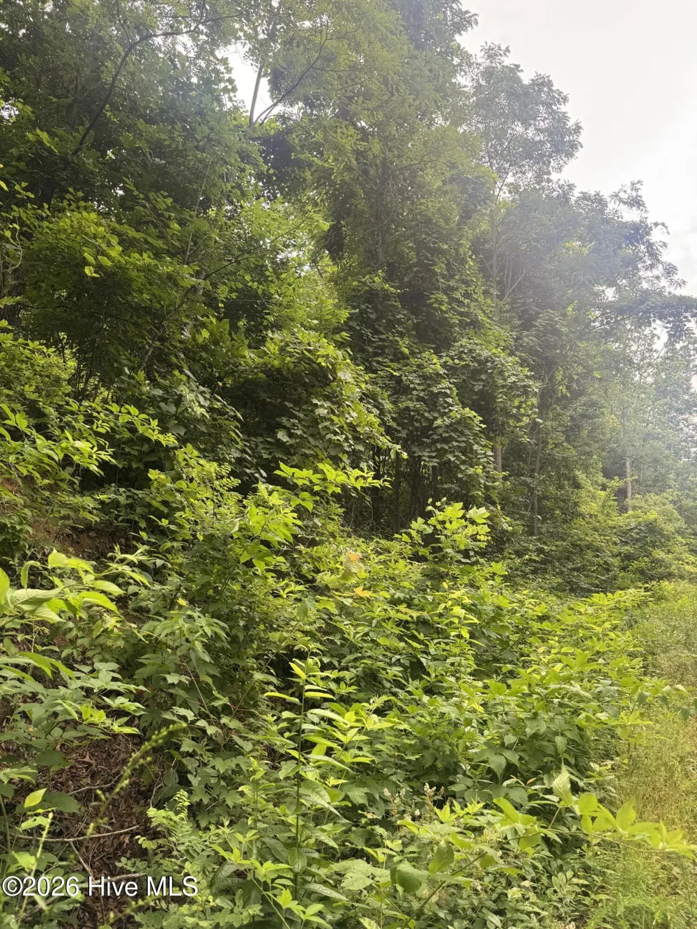 78 Lt 78 Pitch Pine Drive Sylva, NC 28779