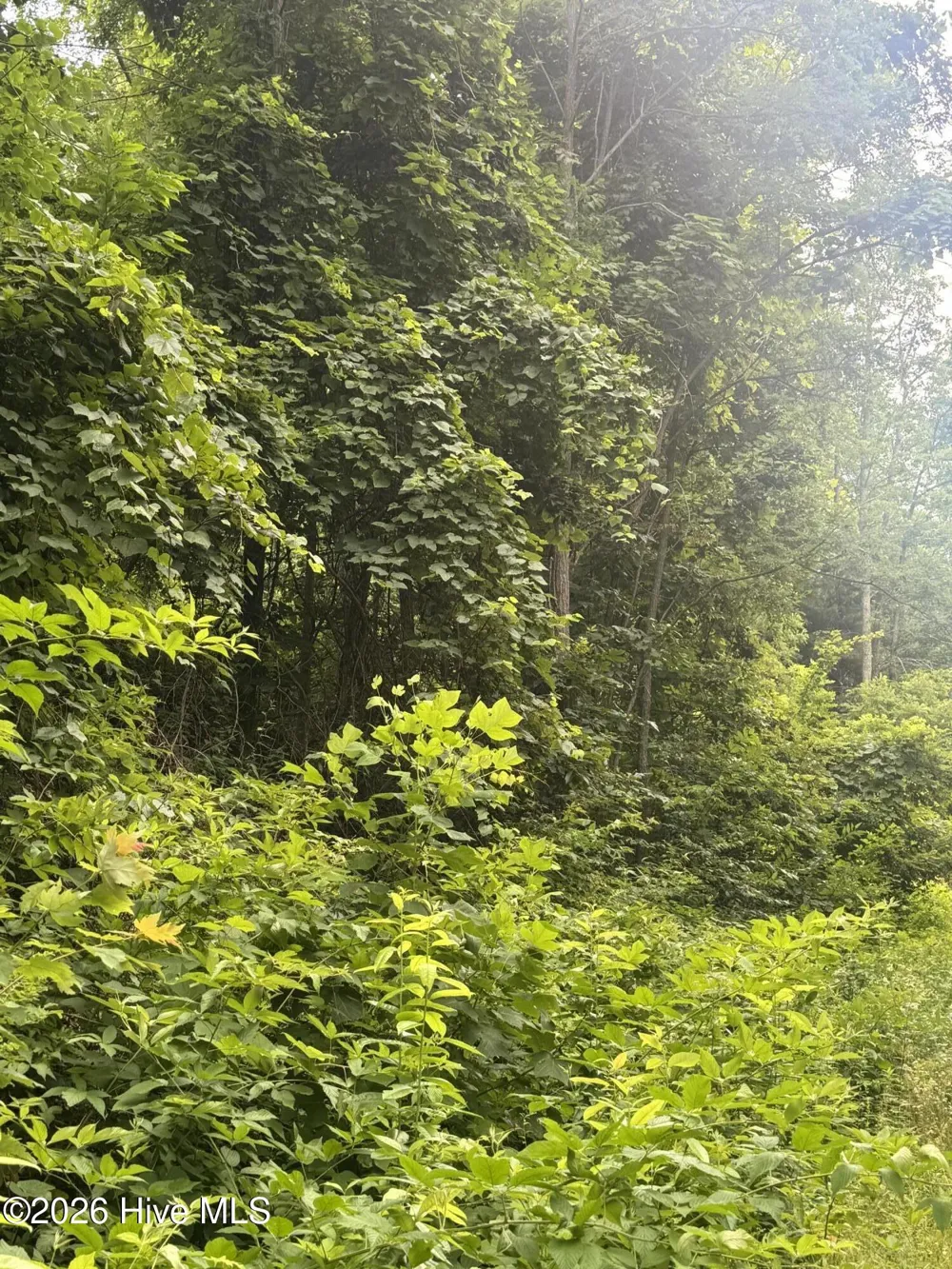 78 Lt 78 Pitch Pine Drive Sylva, NC 28779