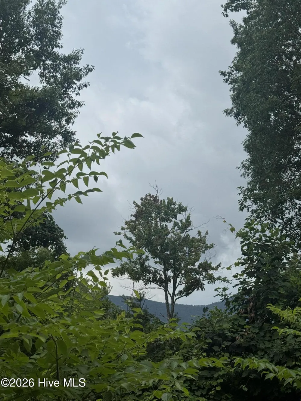 78 Lt 78 Pitch Pine Drive Sylva, NC 28779
