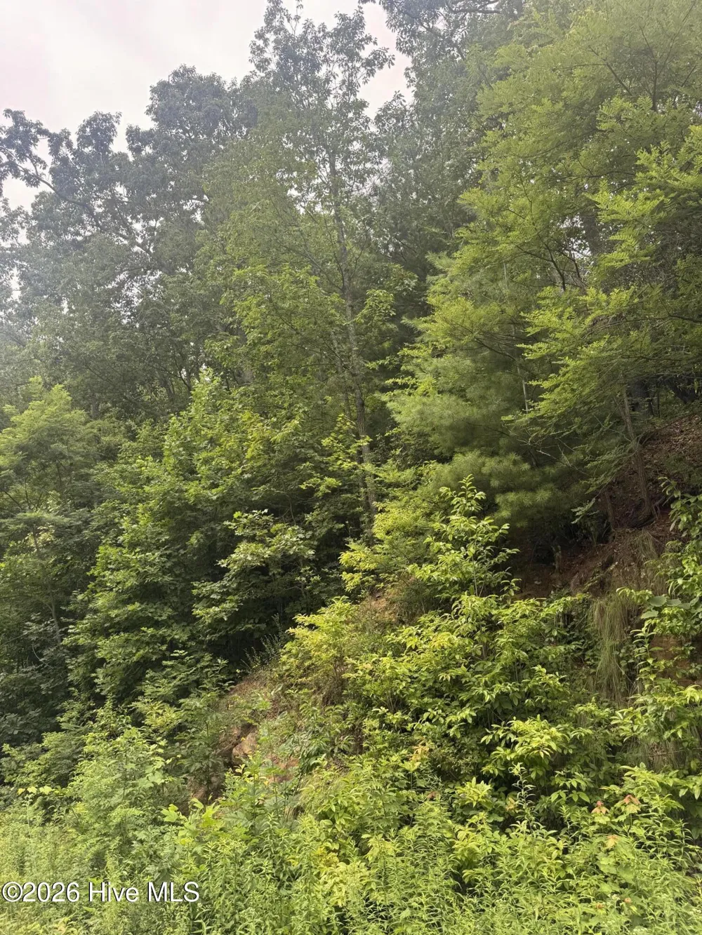 78 Lt 78 Pitch Pine Drive Sylva, NC 28779