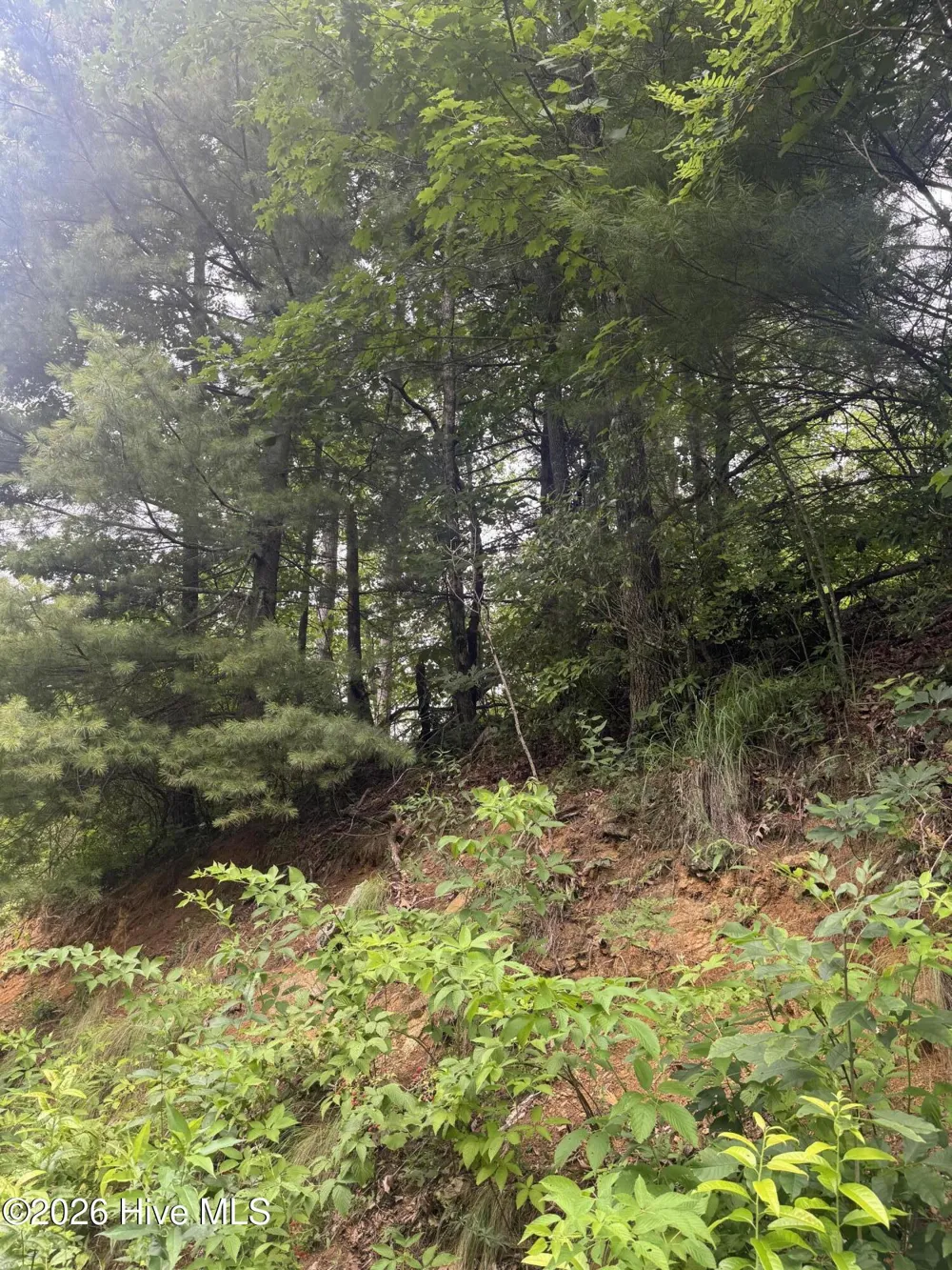 78 Lt 78 Pitch Pine Drive Sylva, NC 28779