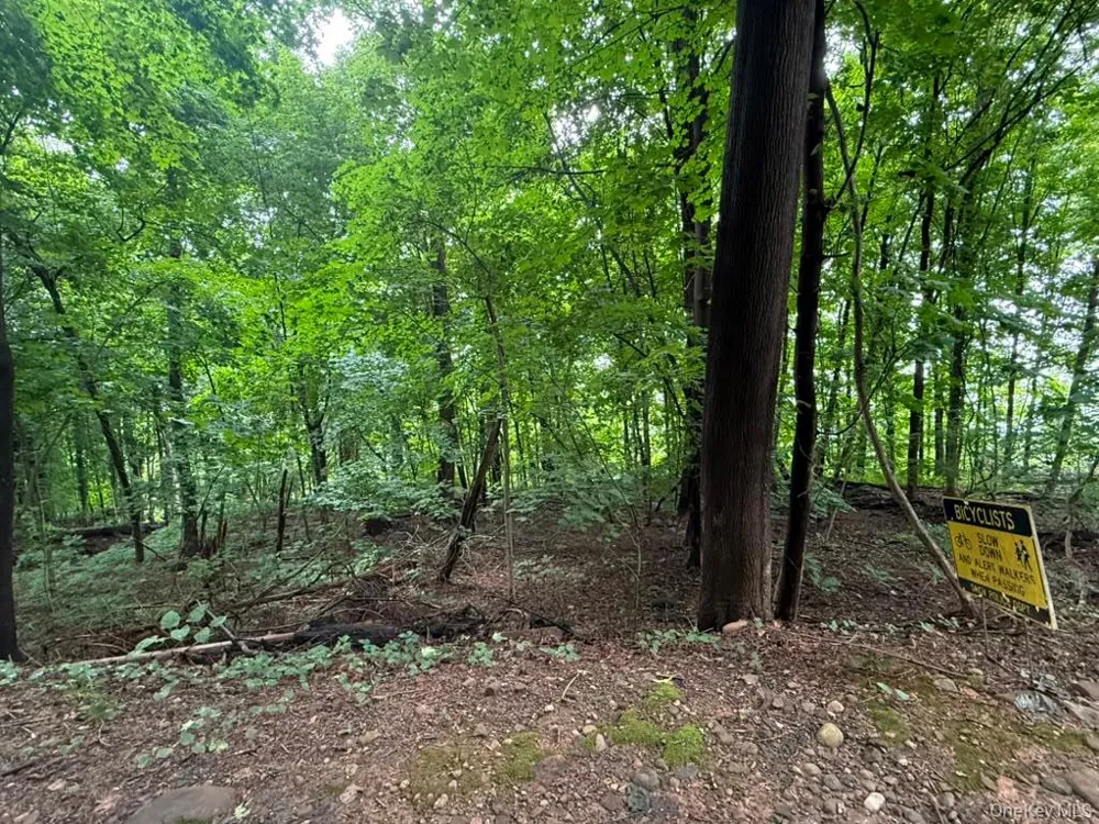 43 River Road Nyack, NY 10960