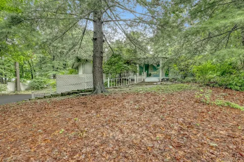49 Halley Drive