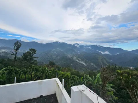 Peters Rock, St Andrew, Jamaica