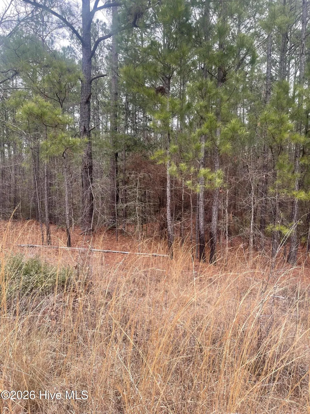 Lot 6 & 7 Bumpy Lane Sanford, NC 27332