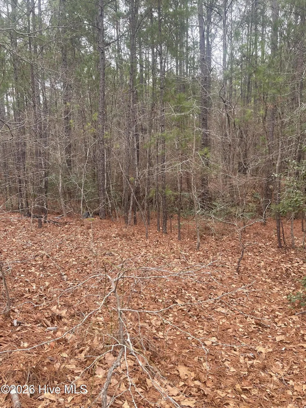 Lot 6 & 7 Bumpy Lane Sanford, NC 27332