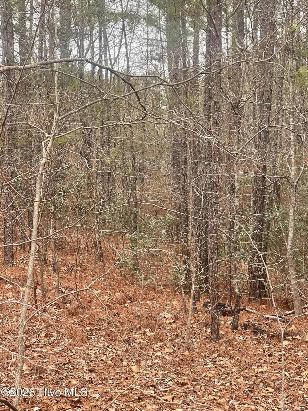 Lot 6 & 7 Bumpy Lane Sanford, NC 27332
