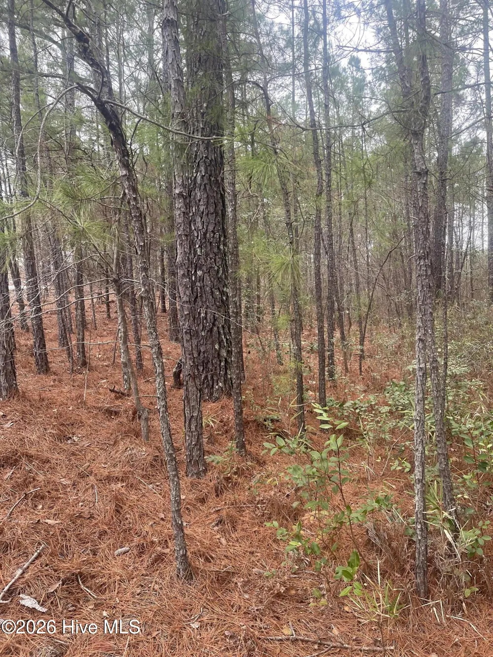 Lot 6 & 7 Bumpy Lane Sanford, NC 27332