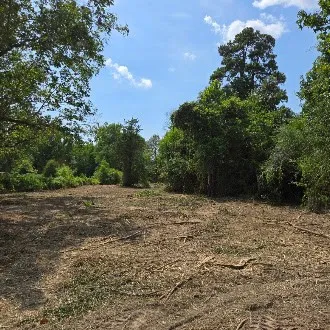 2 Percy Burns Road Springhill, LA 71075