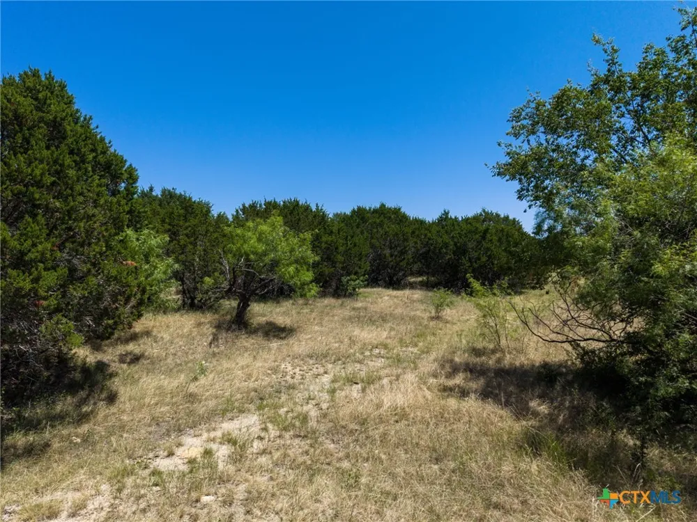 10072 State Highway 36 Jonesboro, TX 76538