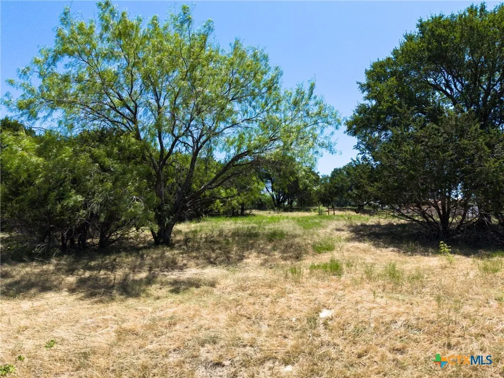 10072 State Highway 36 Jonesboro, TX 76538