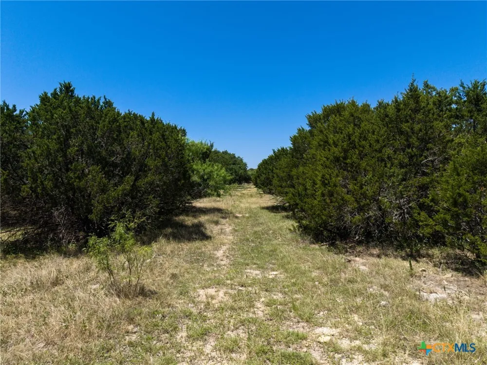 10072 State Highway 36 Jonesboro, TX 76538