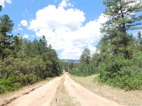 4977 Mohawk Drive