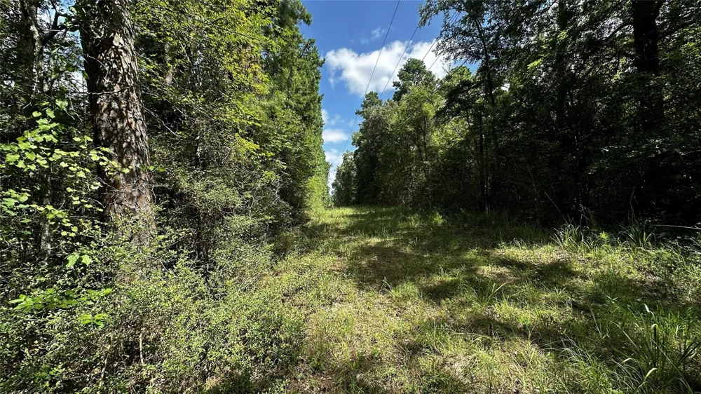 7103 Fm 3178 Centerville, TX 75833