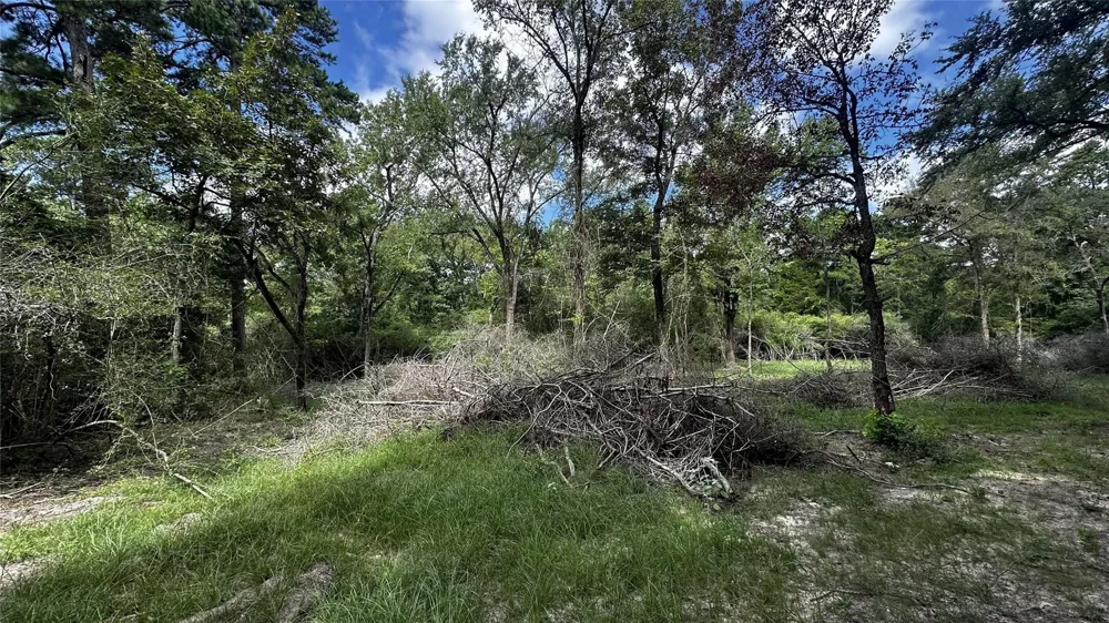 7103 Fm 3178 Centerville, TX 75833