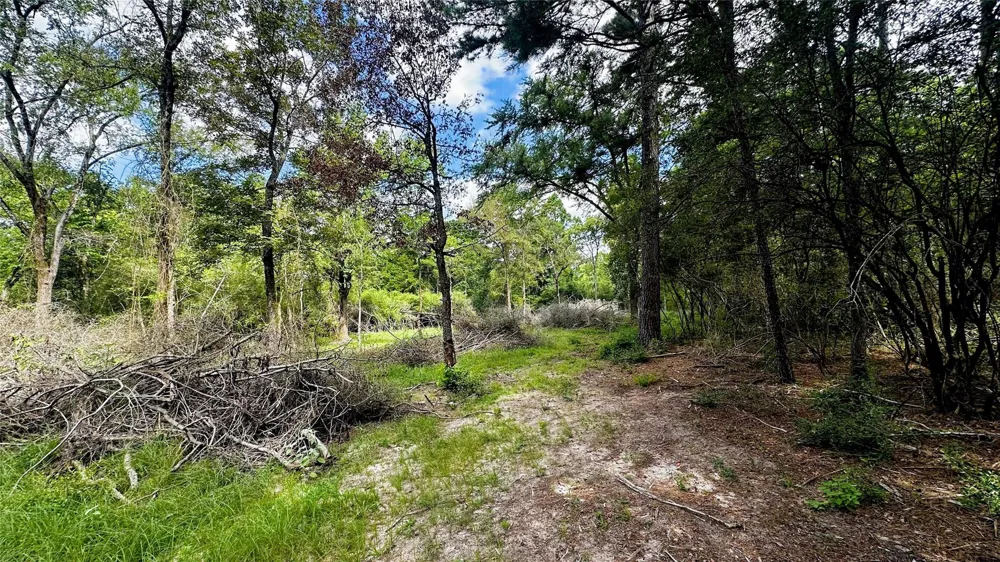 7103 Fm 3178 Centerville, TX 75833
