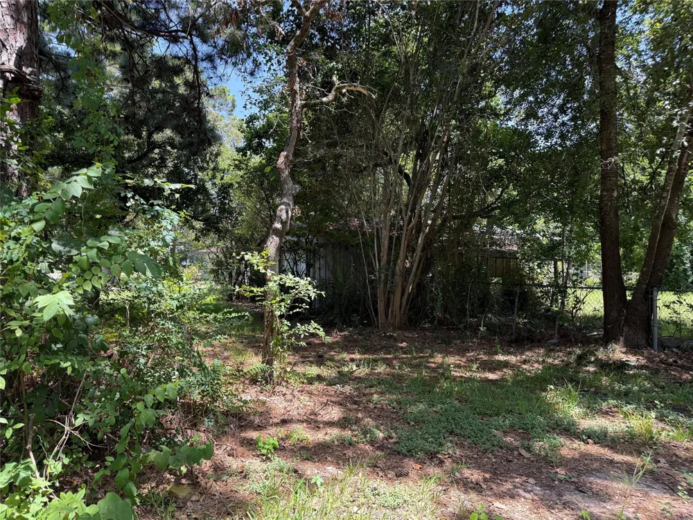 1 Easy Street Magnolia, TX 77355
