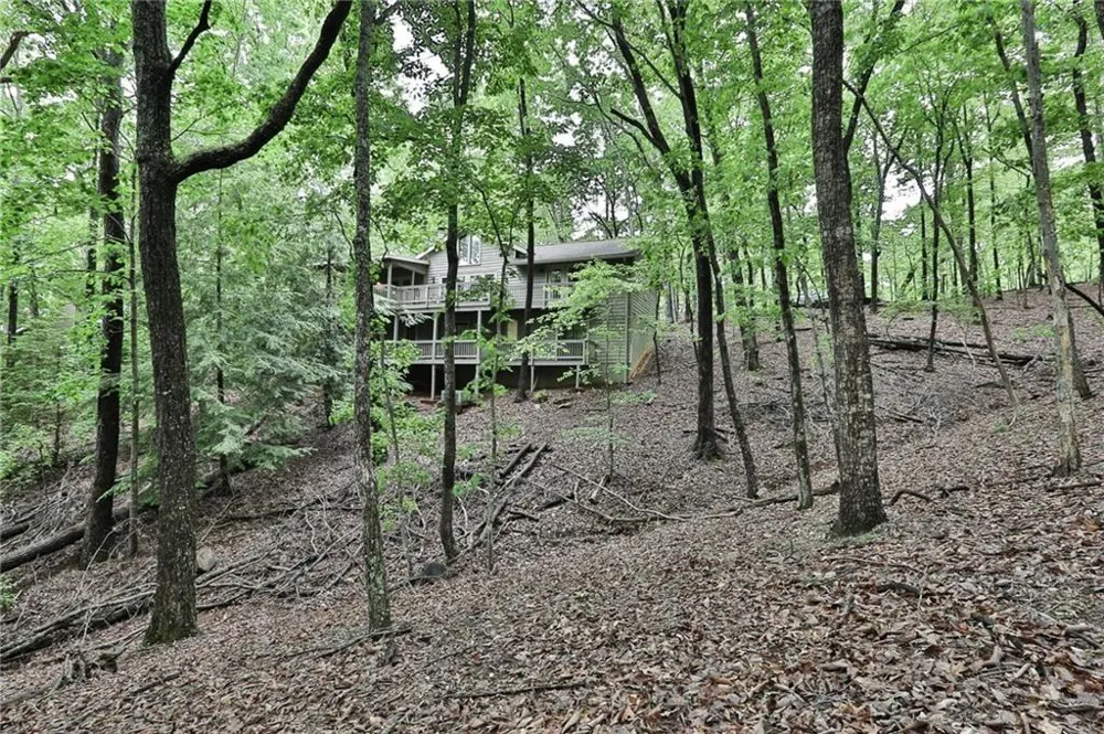 273 Indian Pipe Drive Big Canoe, GA 30143