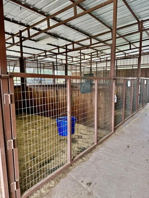 5026 Upper Montague Road Bowie, TX 76230
