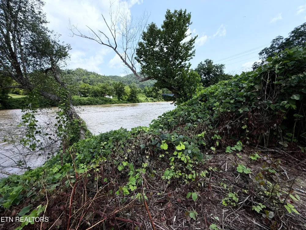 253 S Highway 107 Del Rio, TN 37727