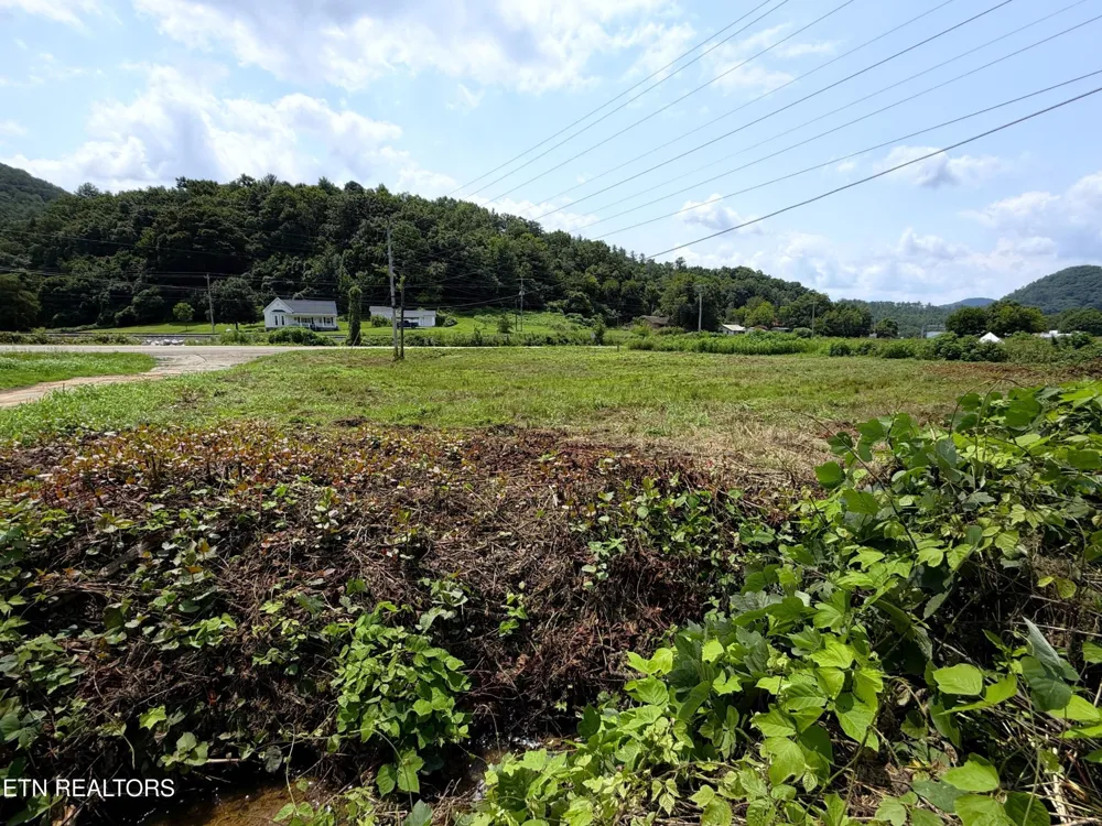 253 S Highway 107 Del Rio, TN 37727