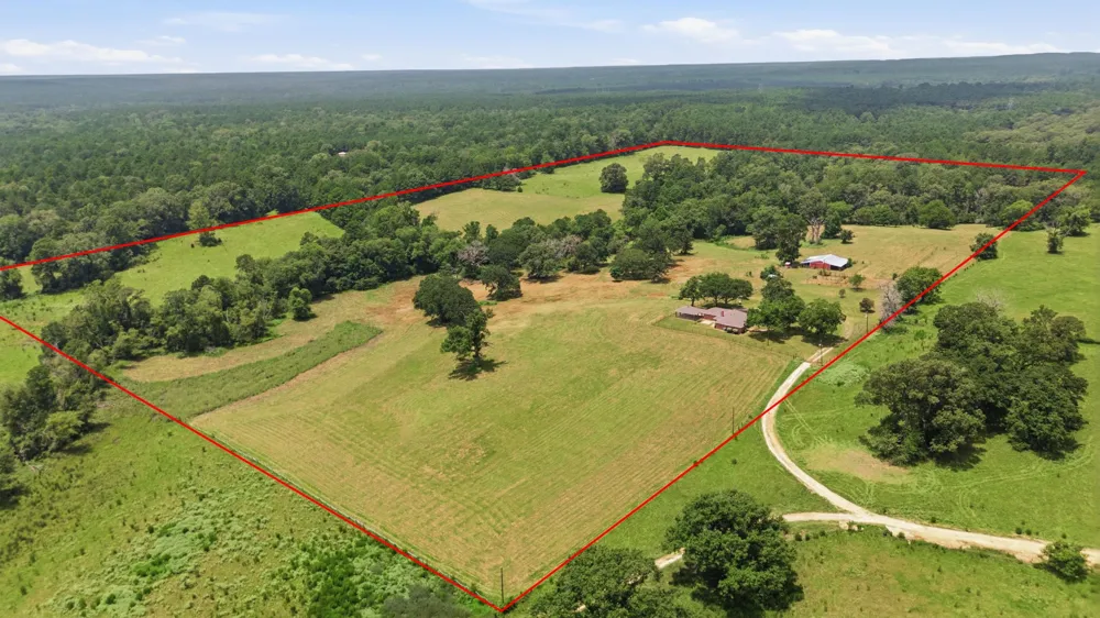 931 PR 5140 Grapeland, TX 75844