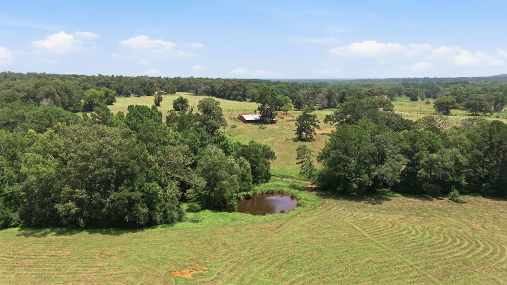 931 PR 5140 Grapeland, TX 75844