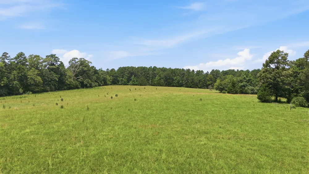 931 PR 5140 Grapeland, TX 75844