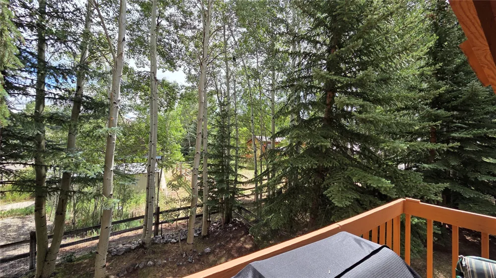 600 S 5th Avenue Frisco, CO 80443