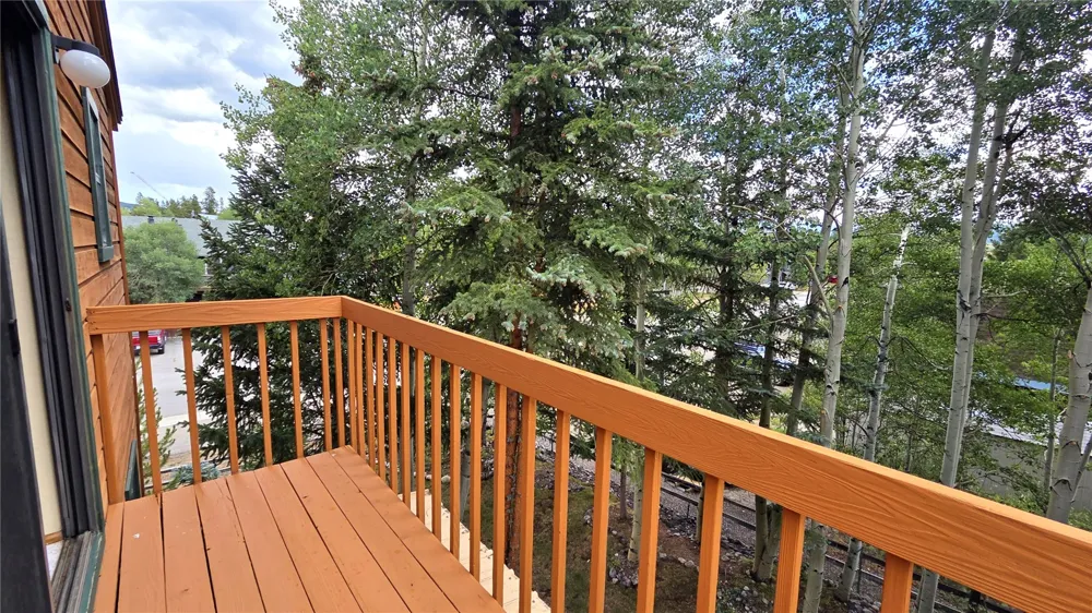 600 S 5th Avenue Frisco, CO 80443