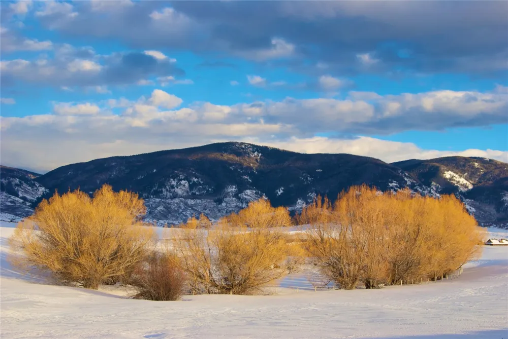 23800 County Road 16 #508 Oak Creek, CO 80467