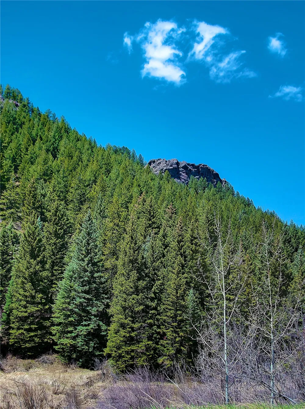 23800 County Road 16 #508 Oak Creek, CO 80467