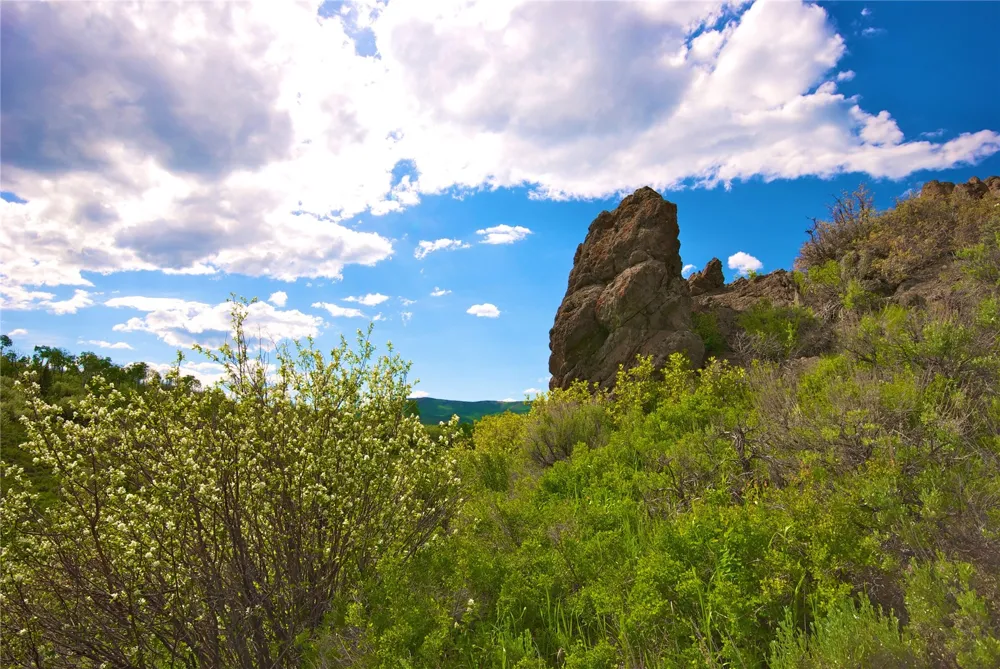 23800 County Road 16 #508 Oak Creek, CO 80467