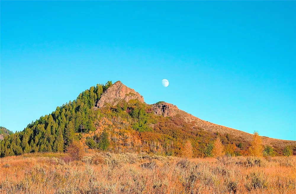 23800 County Road 16 #508 Oak Creek, CO 80467